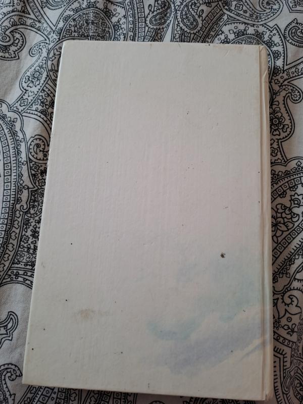 Jūrų vilkas - Džekas Londonas, knyga 4