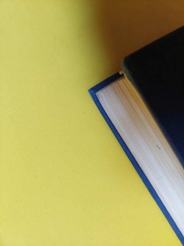 Dideli įvykiai Naujamiestyje - Jonas Dovydaitis, knyga 3