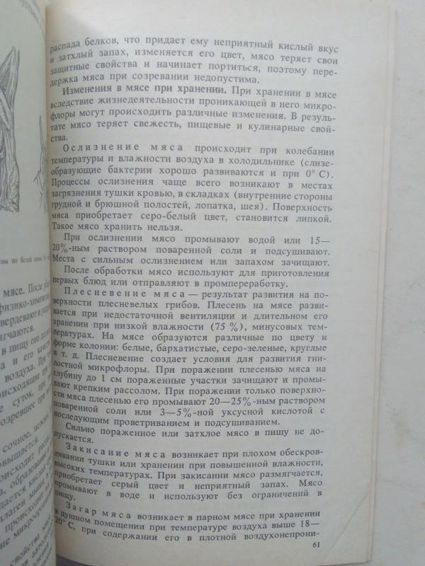 Triušininkystės produkcija (rusų kalba) - N. Tinaev, knyga 6