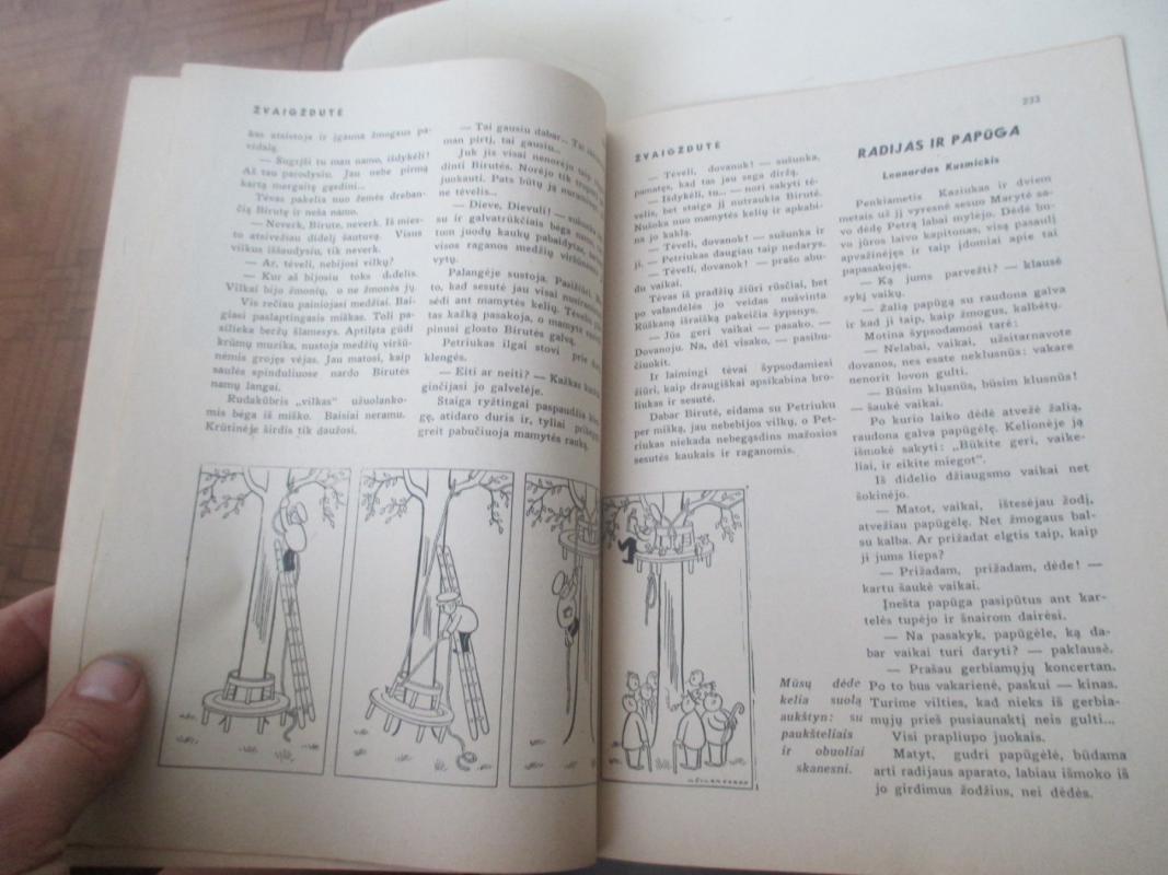 Žvaigždutė 1938 m. Nr. 17 - Autorių kolektyas, knyga 6