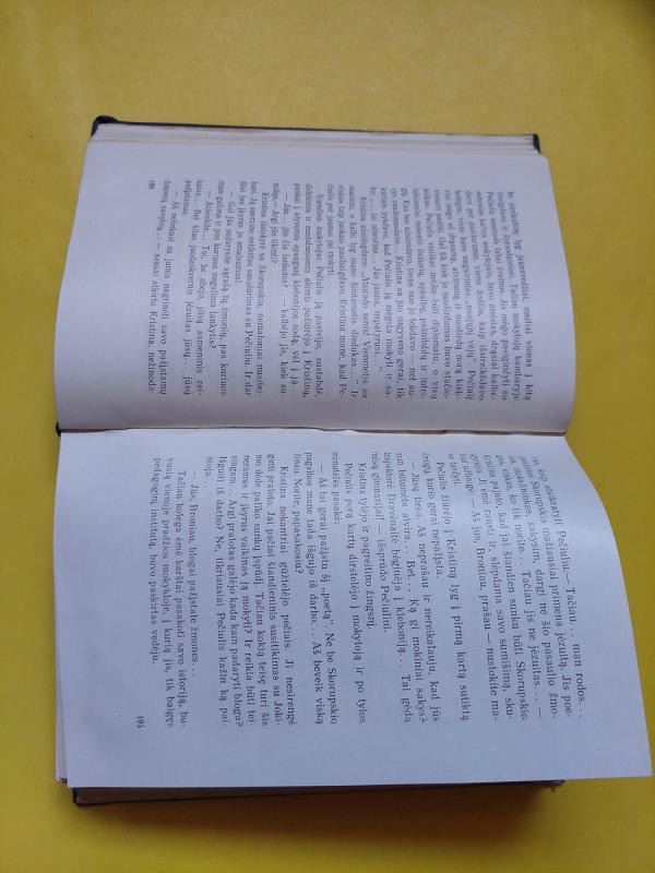 Dideli įvykiai Naujamiestyje - Jonas Dovydaitis, knyga 6