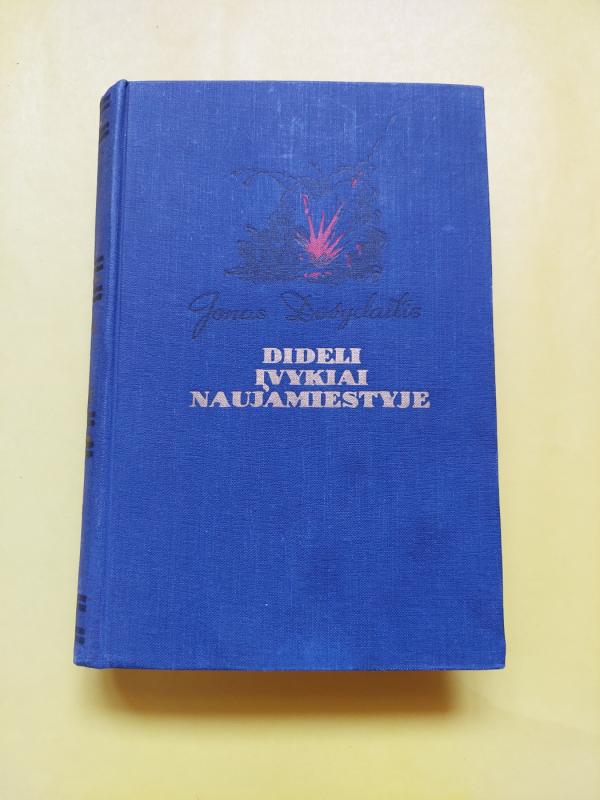 Dideli įvykiai Naujamiestyje - Jonas Dovydaitis, knyga 2