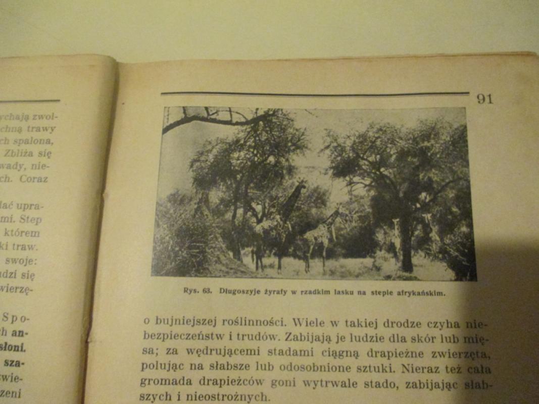 Poznawajmy przyrode - Autorių Kolektyvas, knyga 6