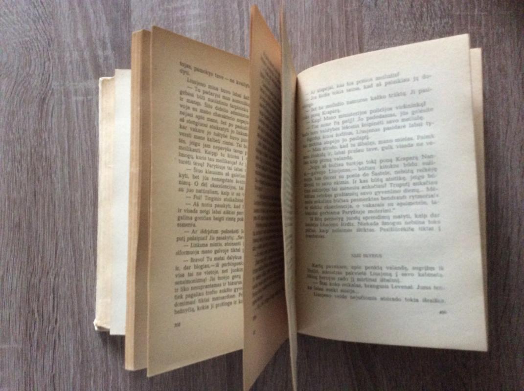 Liusjenas Levenas - Autorių Kolektyvas, knyga 4