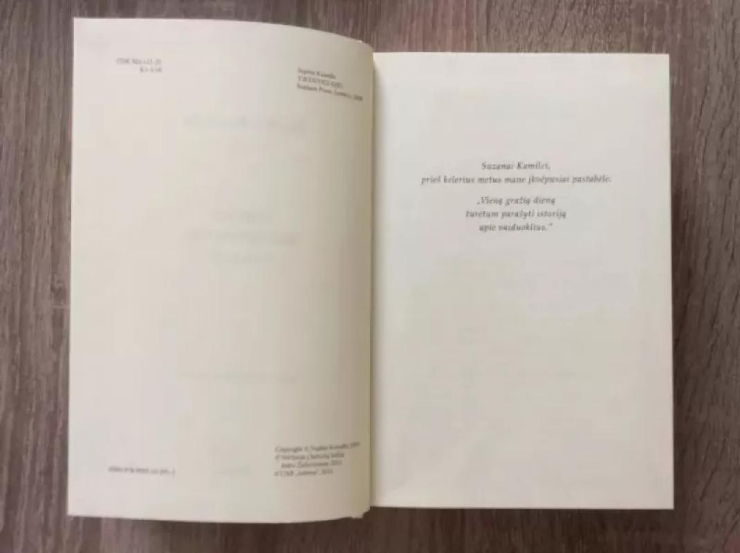 Trečio dešimtmečio panelė - Sophie Kinsella, knyga 3