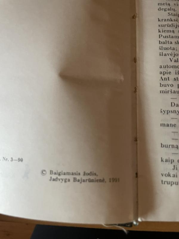 Trys draugai - Erichas Marija Remarkas, knyga 2