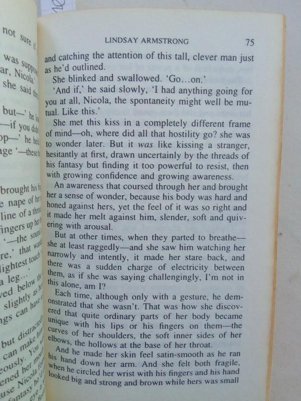 He's my husband! - Lindsay Armstrong, knyga 4