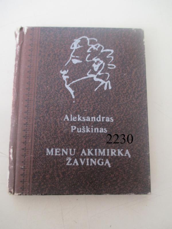 Menu akimirką žavingą - Aleksandras Puškinas, knyga 2