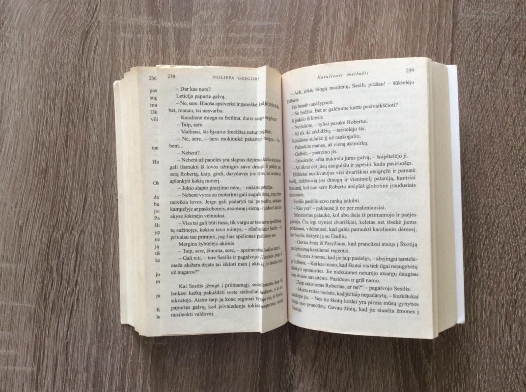 Karalienės Meilužis - Philippa Gregory, knyga 4