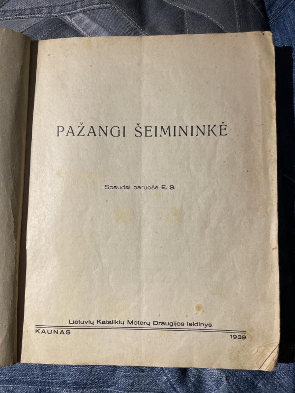 Pažangi šeimininkė - Autorių Kolektyvas, knyga 3