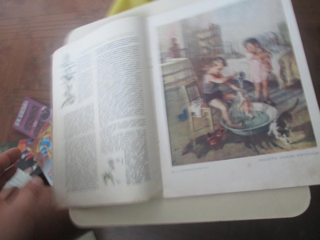 Žvaigždutė 1955 Nr. 6. - Autorių kolektyas, knyga 4