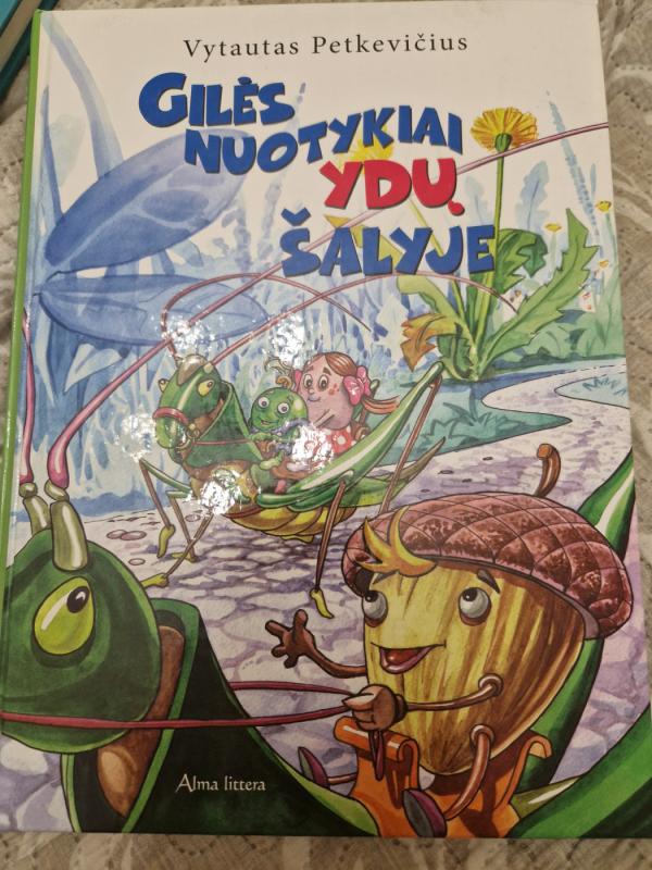 Gilės nuotykiai ydų šalyje - Vytautas Petkevičius, knyga 2