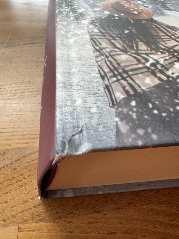 Angelų medis - LUCINDA RILEY, knyga 3