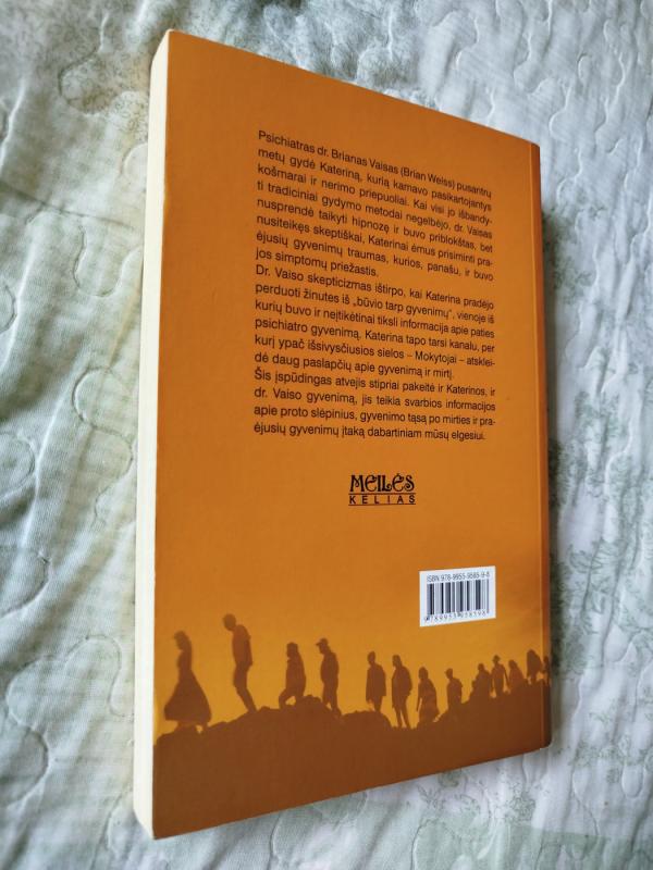 Praeiti gyvenimai, sutikti mokytojai - Brian Weiss, knyga 5