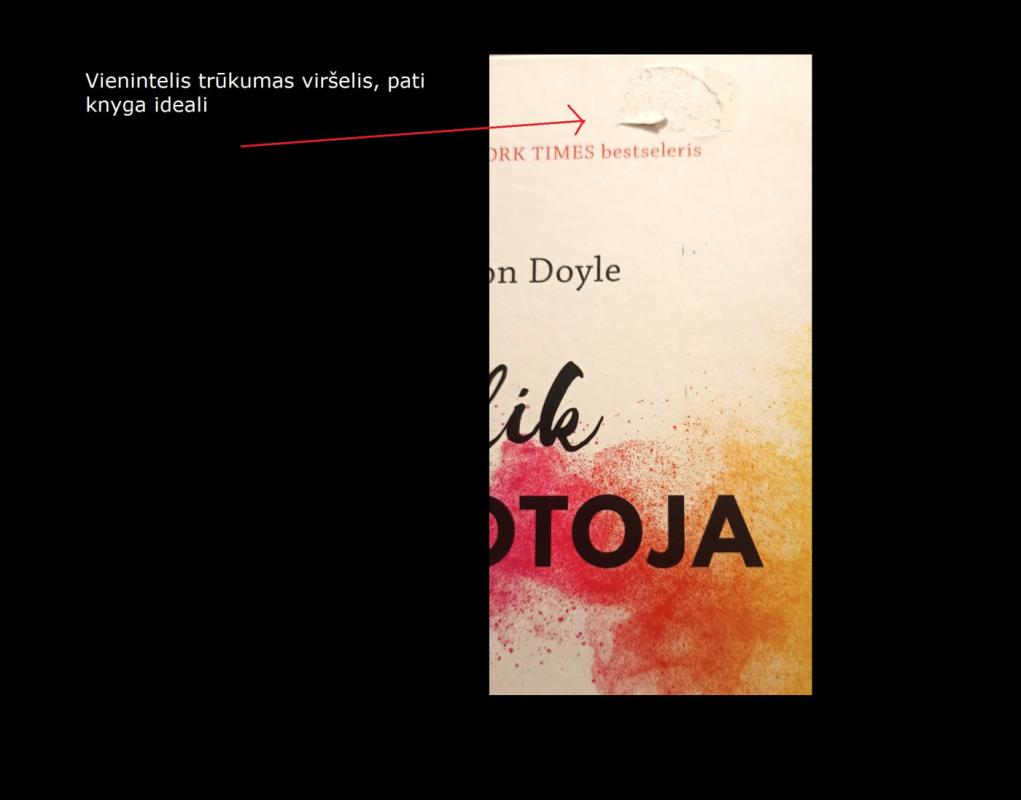 Išlik kovotoja: kaip priimti savo painų, bet gražų gyvenimą - Glennon Doyle, knyga 3