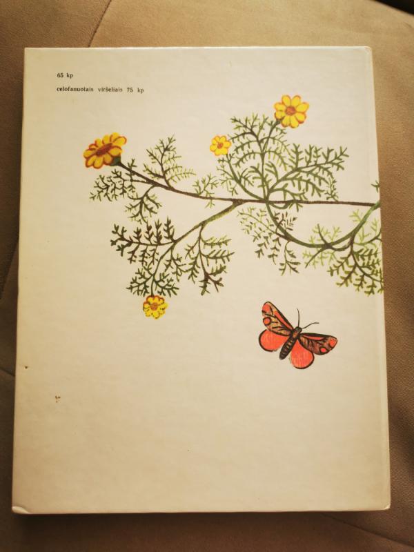 Geltonos ramunės - Aleksas Baltrūnas, knyga 3