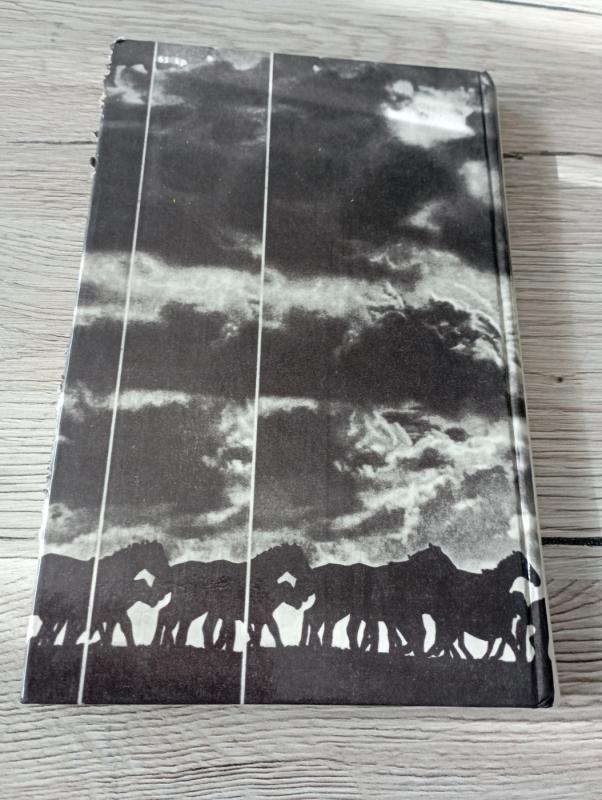 Oi,žirge,žirge - Eugenijus Danilevičius, knyga 3