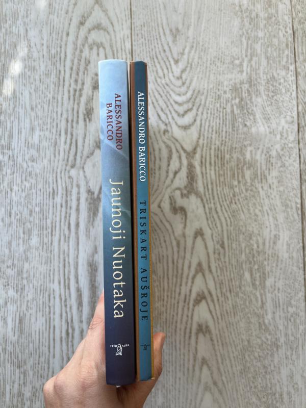 Jaunoji nuotaka - Baricco Alessandro, knyga 3