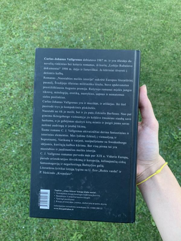 Nuostabios meilės istorija - Carl-Johan Vallgren, knyga 3