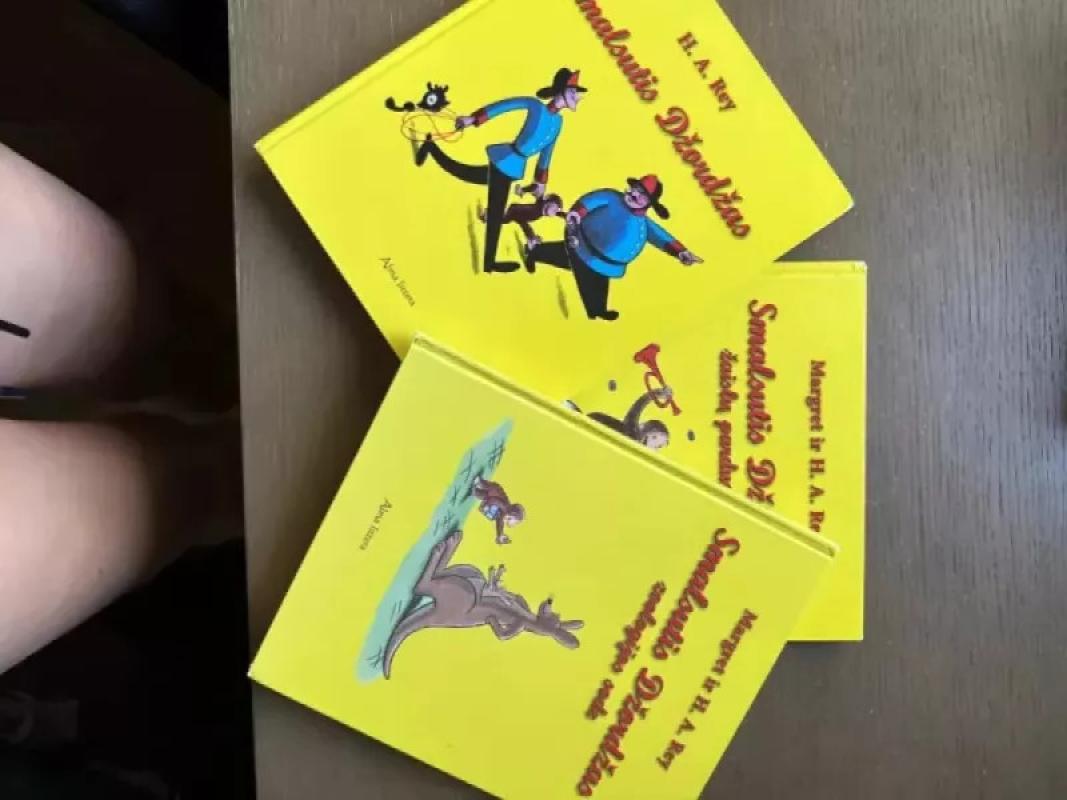 Smalsutis Džordžas - H.A. Rey, knyga 2