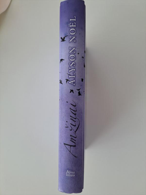 Amžinai - Alyson Noël, knyga 4