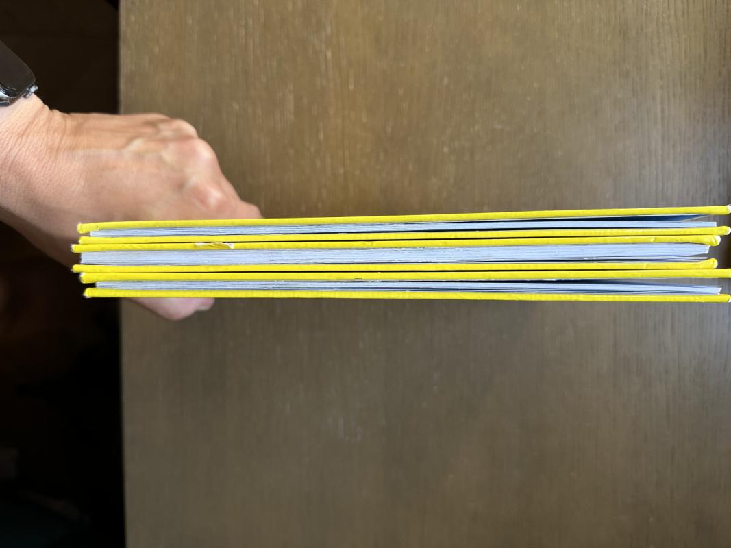 Smalsutis Džordžas - H.A. Rey, knyga 3