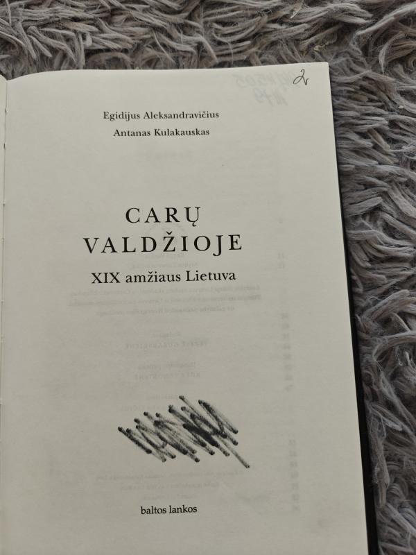 Carų valdžioje. Lietuva XIX amžiuje - Egidijus Aleksandravičius, knyga 5