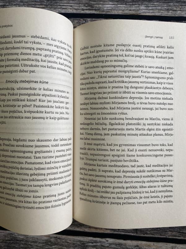 Sąmoningumo ugdymas - Ronald D. Siegel, knyga 3