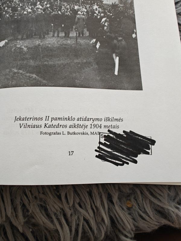 Carų valdžioje. Lietuva XIX amžiuje - Egidijus Aleksandravičius, knyga 4