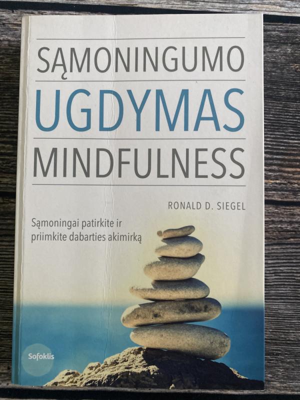 Sąmoningumo ugdymas - Ronald D. Siegel, knyga 2