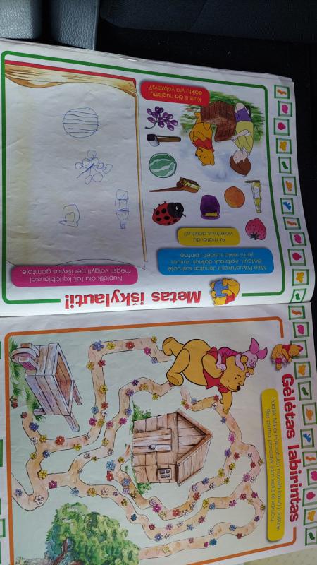 Mikė Pūkuotukas 2005, vasara - Disney, knyga 3