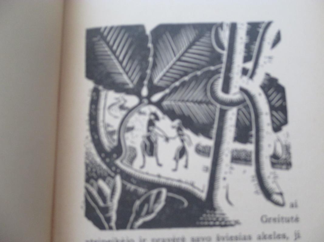 Tamulaitis Skruzdelytės Greitutės nuotykiai - Vytautas Tamulaitis, knyga 6