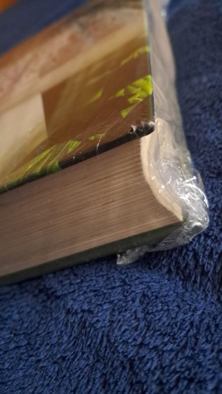 Mansfildo parkas - Jane Austen, knyga 3