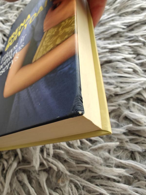 Tikros ir netikros seserys - Irena Buivydaitė, knyga 4