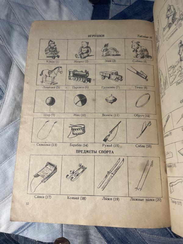 Paveikslinis rusų kalbos vadovėlis - N.Čechovas, M. Robinsonas, Ch. Chakimovas, knyga 6