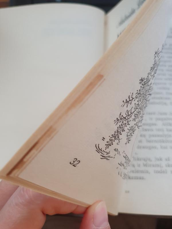 Mijo, mano Mijo - Astrid Lindgren, knyga 3