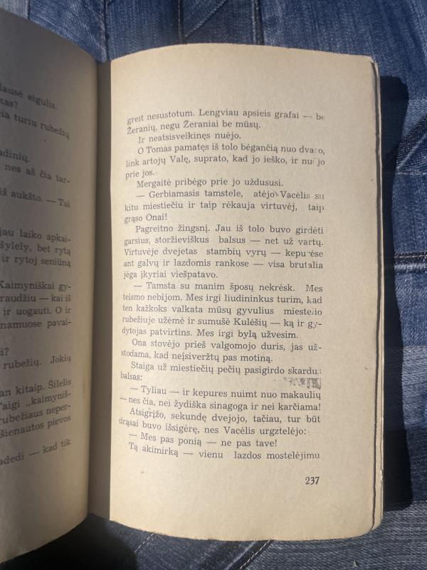 Testamentas (Barbara Tryźnianka) - M. Rodzevičiūtė, knyga 5