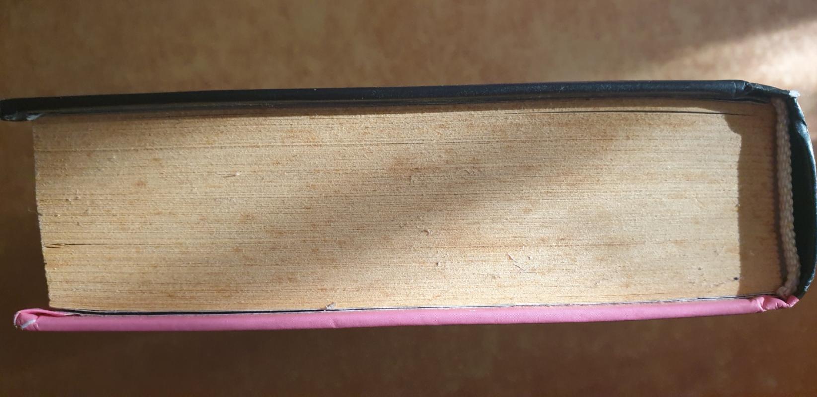 Palaidotas Cezaris - Rex Stout, knyga 6