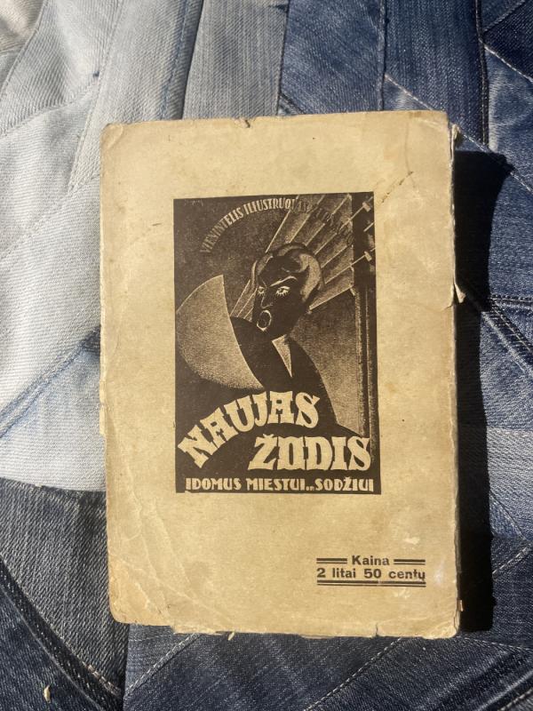 L.Tolstojus Kazokai,1928 m - L. Tolstojus, knyga 6