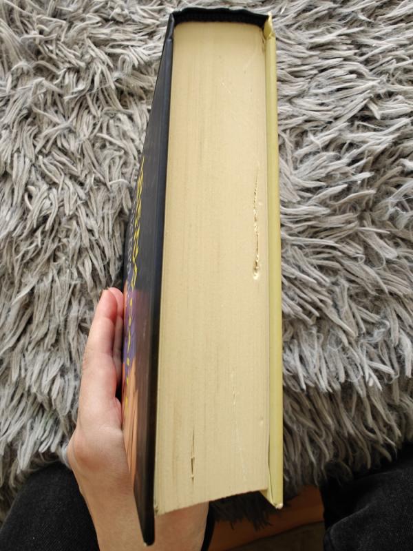 Tikros ir netikros seserys - Irena Buivydaitė, knyga 3