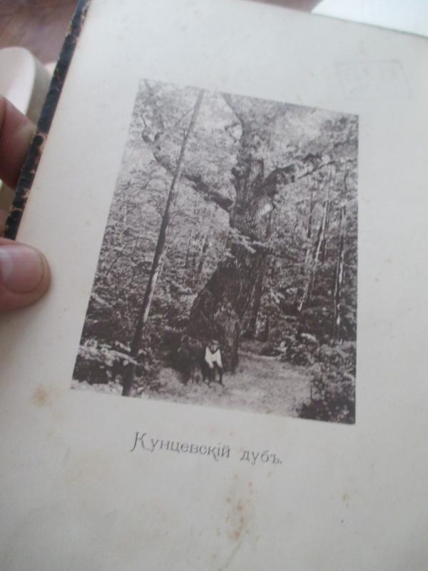 Augalo gyvenimas (rusų kalba) - K.A. Timiriazevas, knyga 3