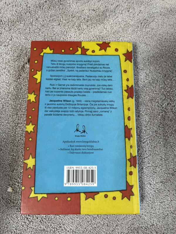 Mes - dvynės - Jacqueline Wilson, knyga 3