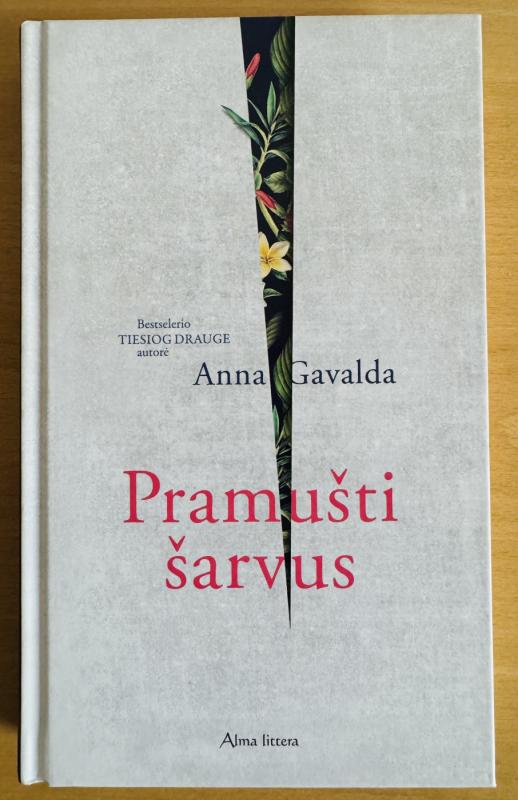 Pramušti šarvus - Anna Gavalda, knyga 2