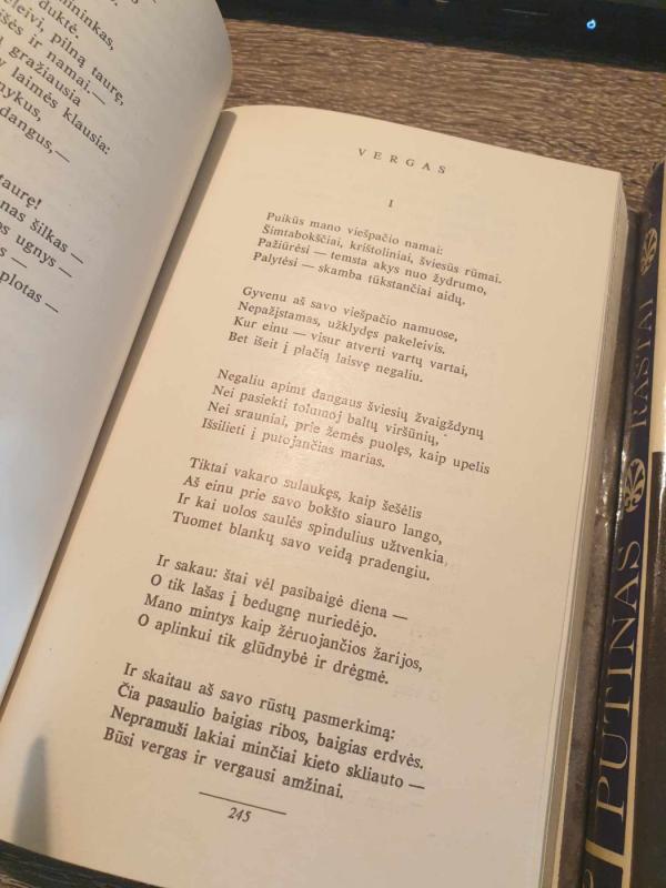 Raštai (I ir II tomas) - Vincas Mykolaitis-Putinas, knyga 4