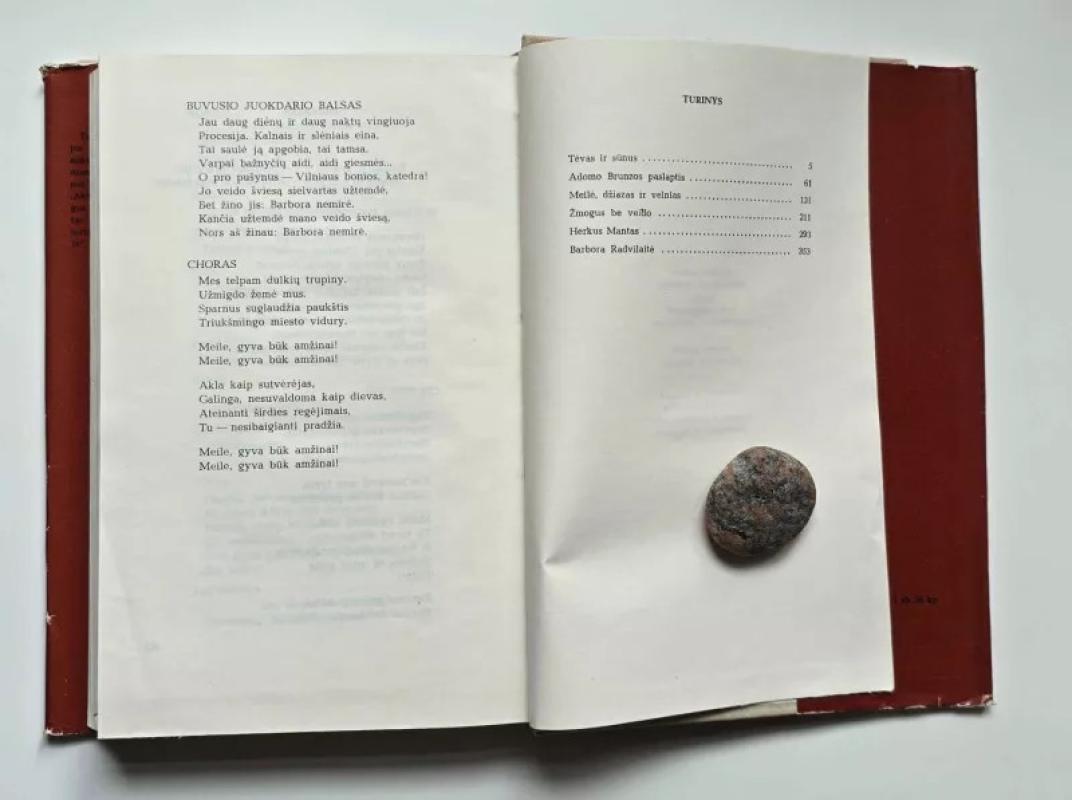 Barbora Radvilaitė - Juozas Grušas, knyga 5