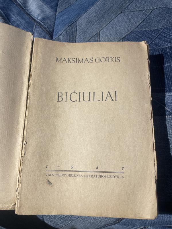 Bičiuliai - Maksimas Gorkis, knyga 3