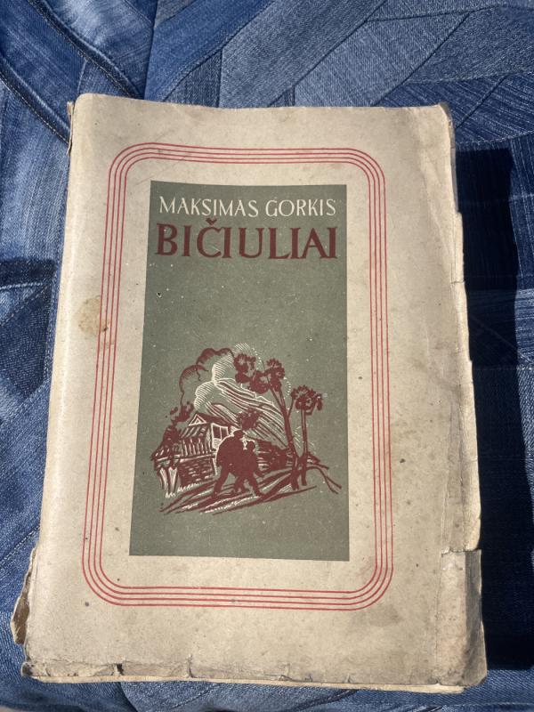 Bičiuliai - Maksimas Gorkis, knyga 2