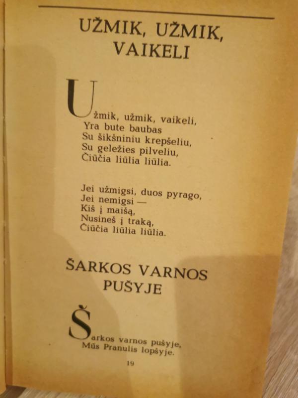 Su saule lijo - Pranė Jokimaitienė, knyga 4