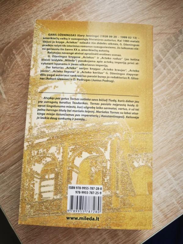 Plėšrūnas. Pas Gotus - Gary Jennings, knyga 3