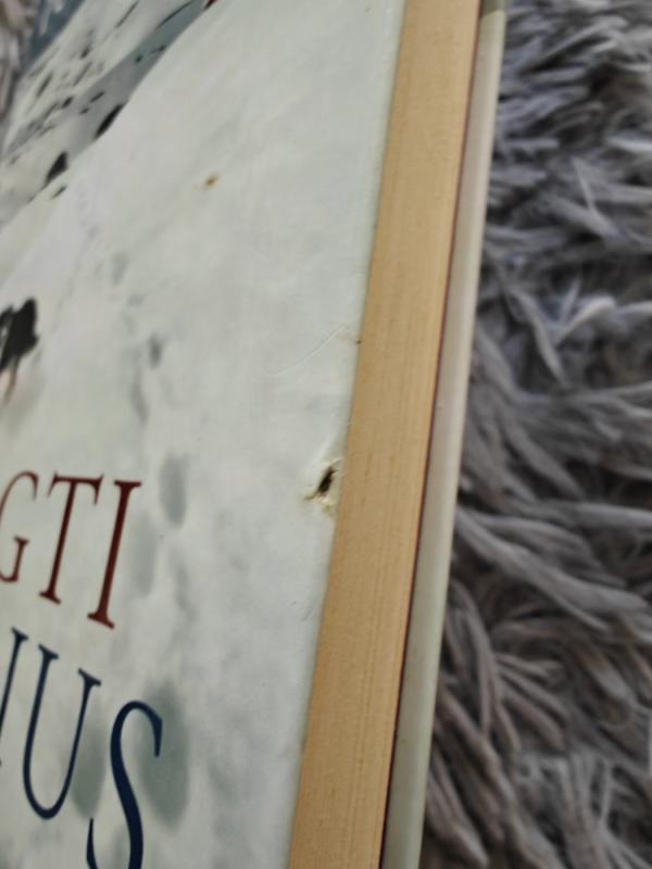 Vogti arklius - Per Petterson, knyga 5